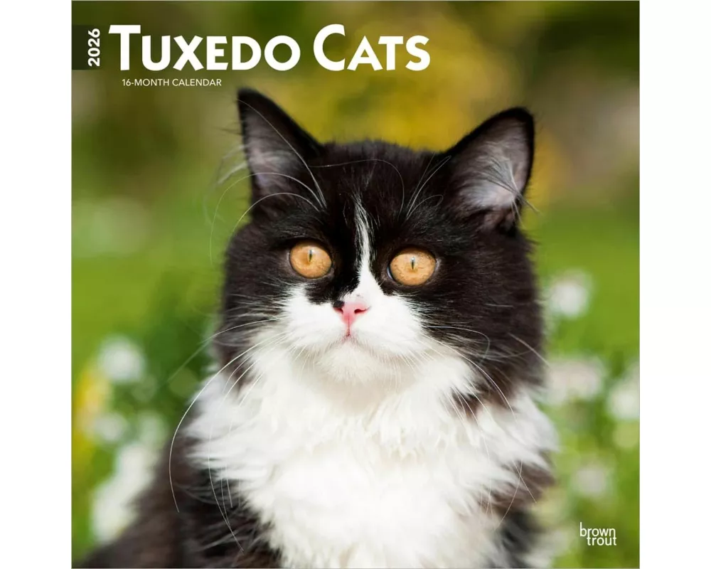 Tuxedo Cats - Tuxedo Katzen 2026 - 16-Monatskalender