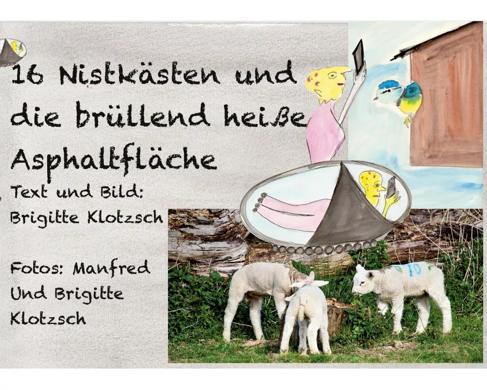 Sechszehn Nistkästen und die brüllend heiße Asphaltfläche