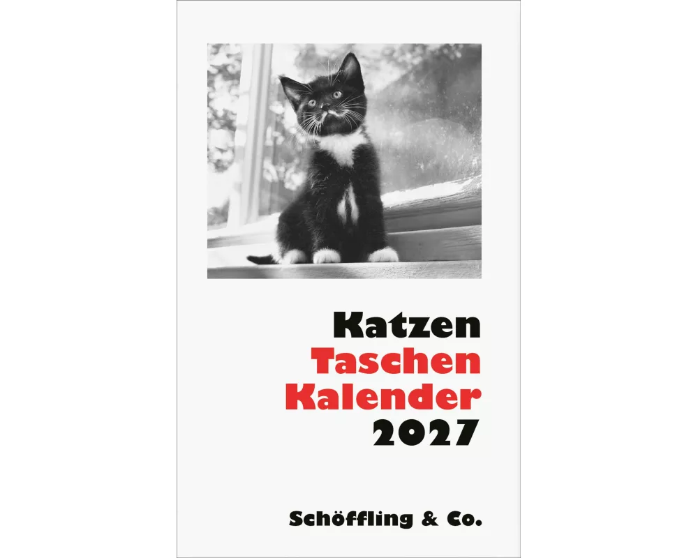 Katzen Taschenkalender 2027