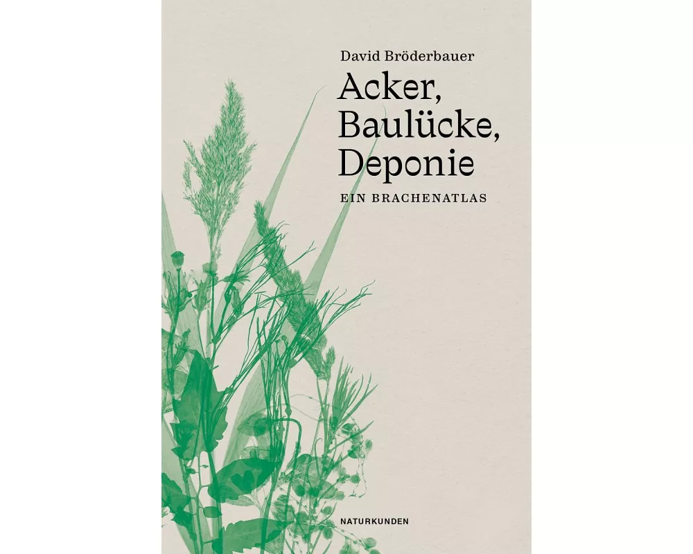 Acker, Baulücke, Deponie