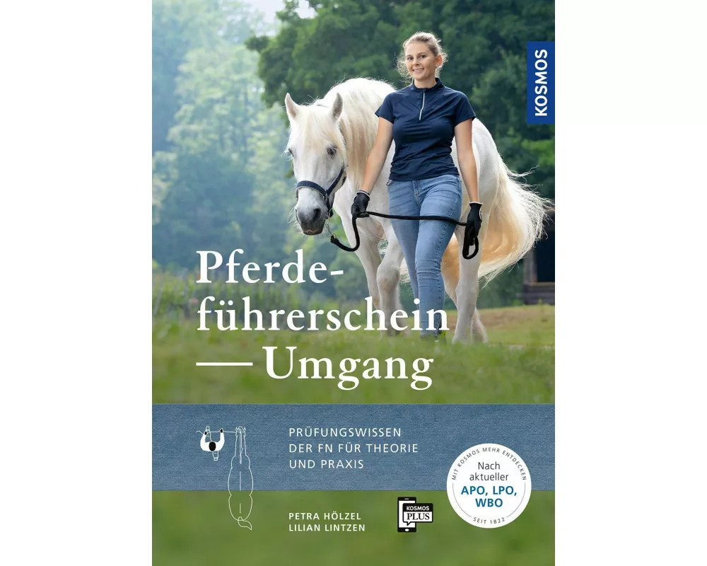 Pferdeführerschein Umgang