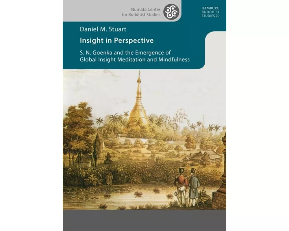 Insight in Perspective