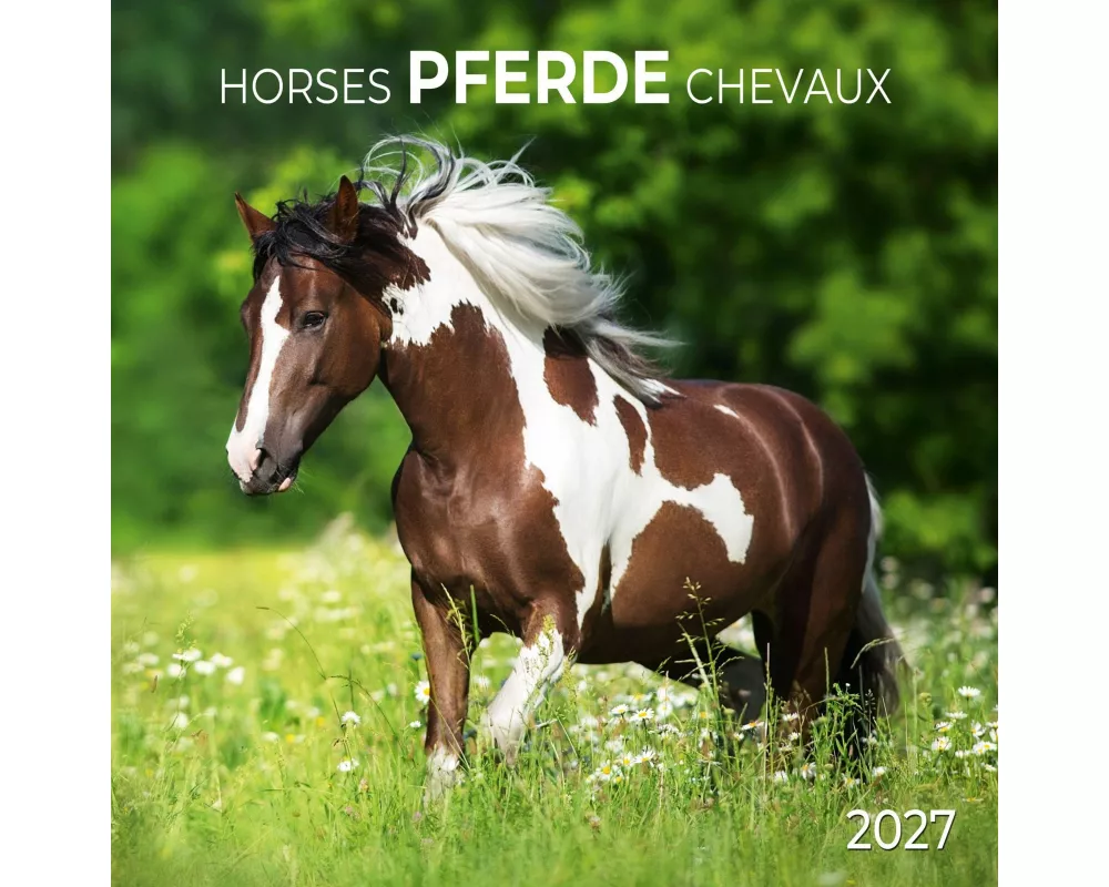 Pferde / Horses 2027