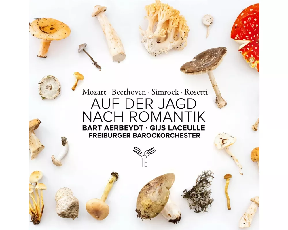 Auf der Jagd nach Romantik