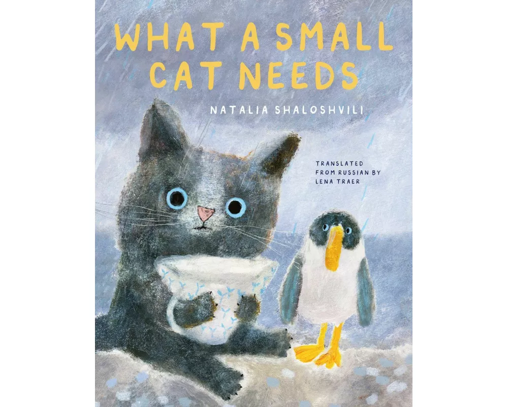 What a Small Cat Needs