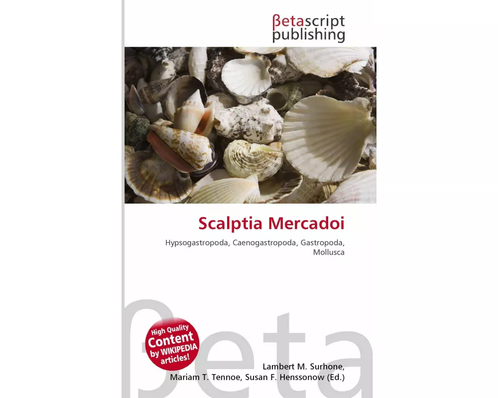 Scalptia Mercadoi