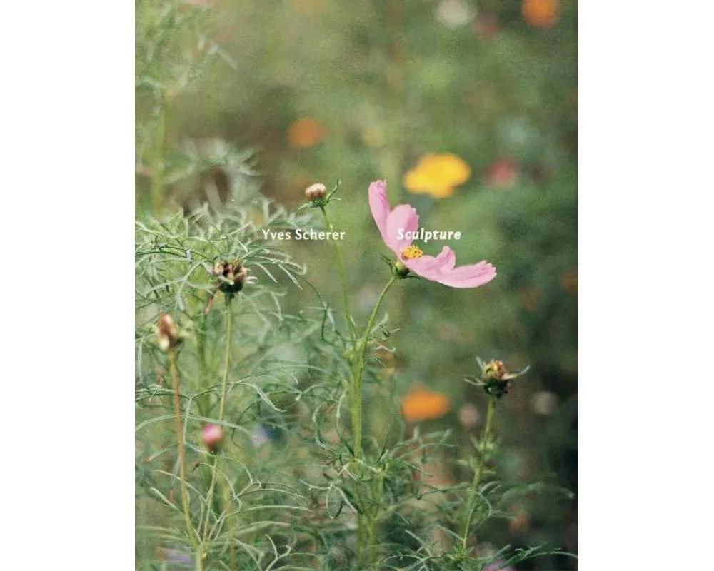 Yves Scherer: Sculpture