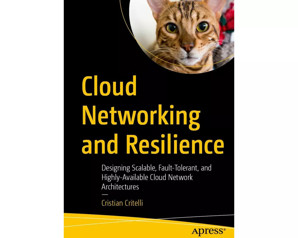 Cloud Networking and Resilience