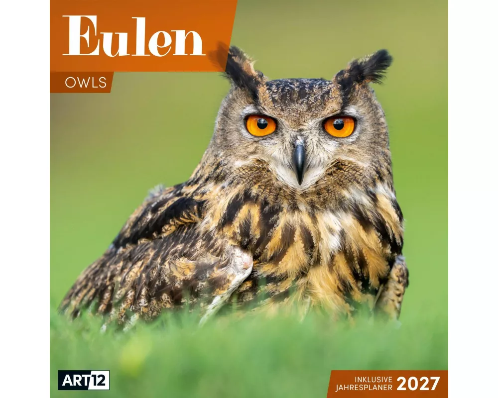 Eulen Kalender 2027 - 30x30 - Art12