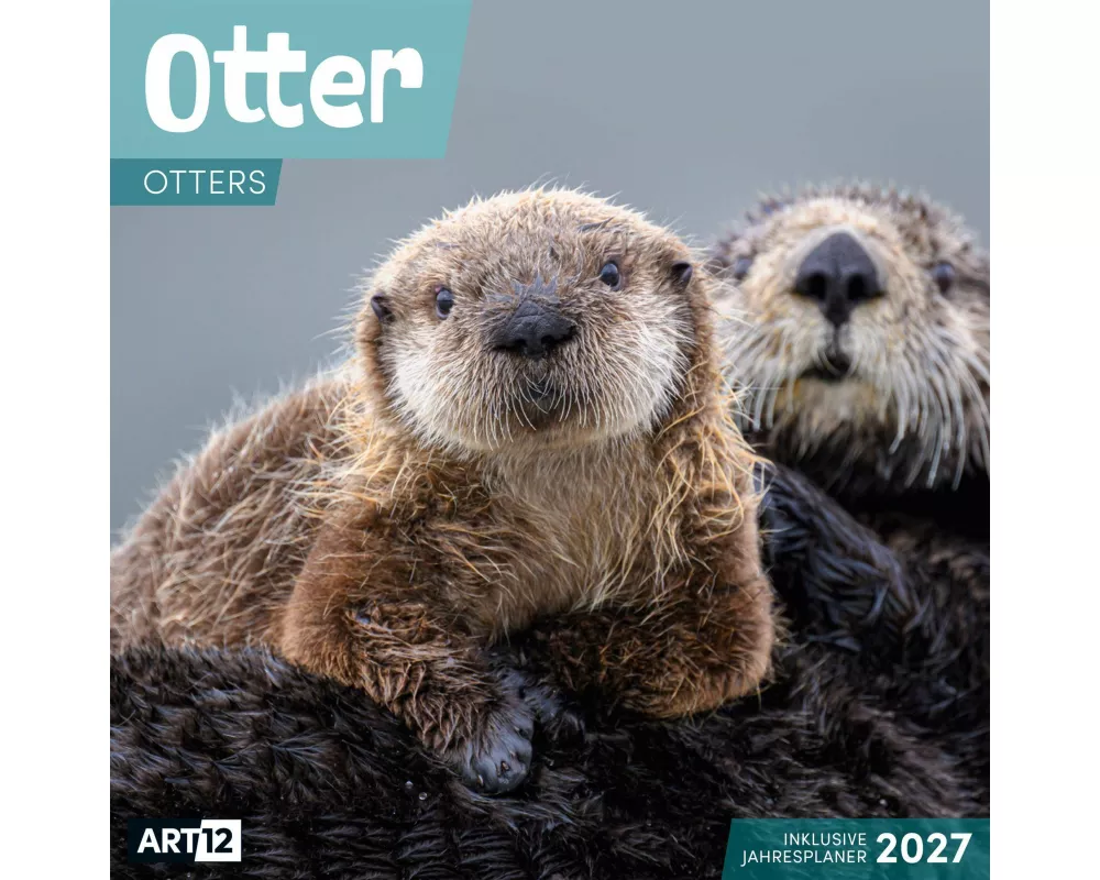 Otter Kalender 2027 - 30x30 - Art12