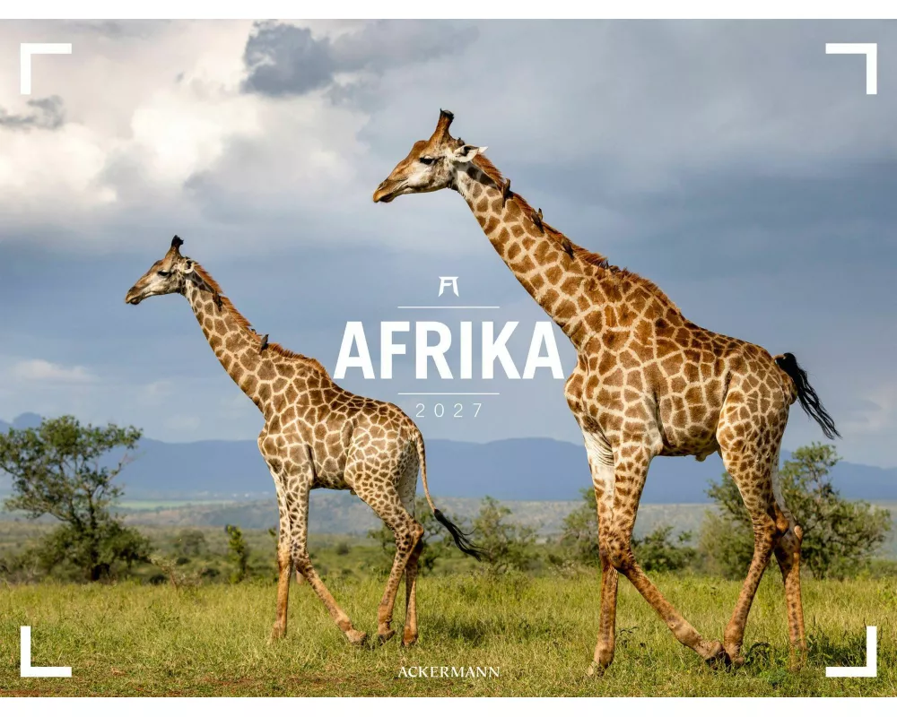 Afrika Gallery Kalender 2027