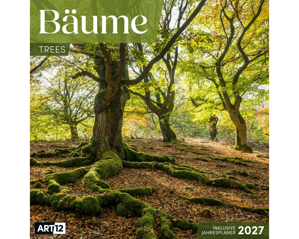 Bäume Kalender 2027 - 30x30 - Art12