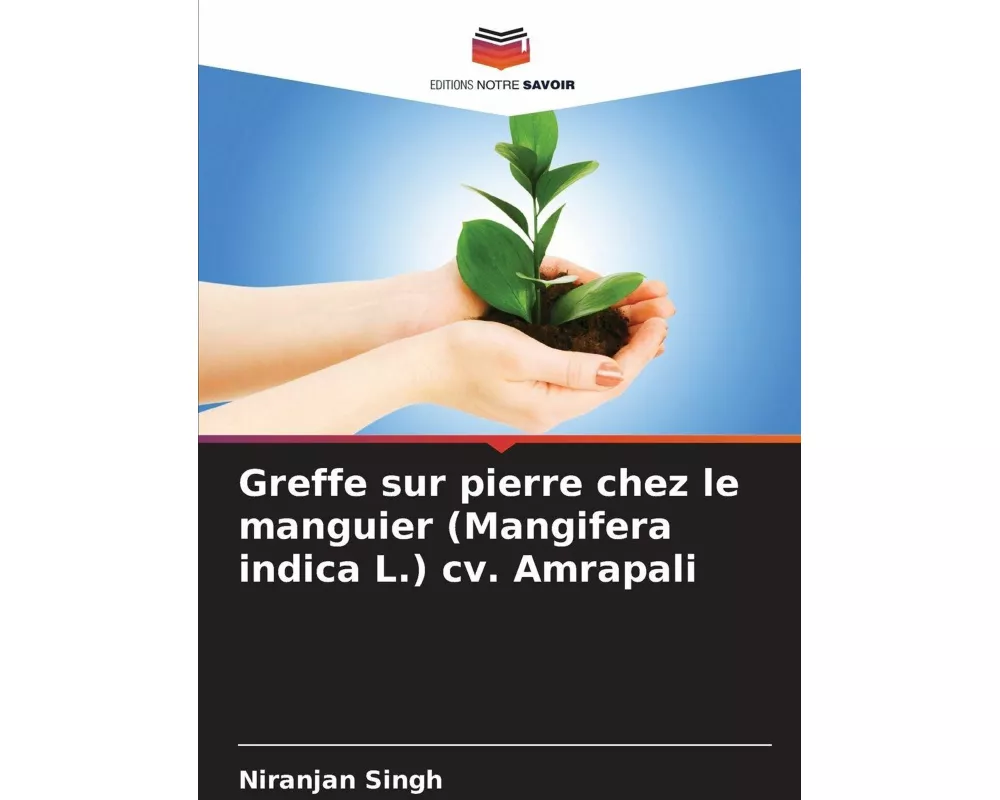 Greffe sur pierre chez le manguier (Mangifera indica L.) cv. Amrapali