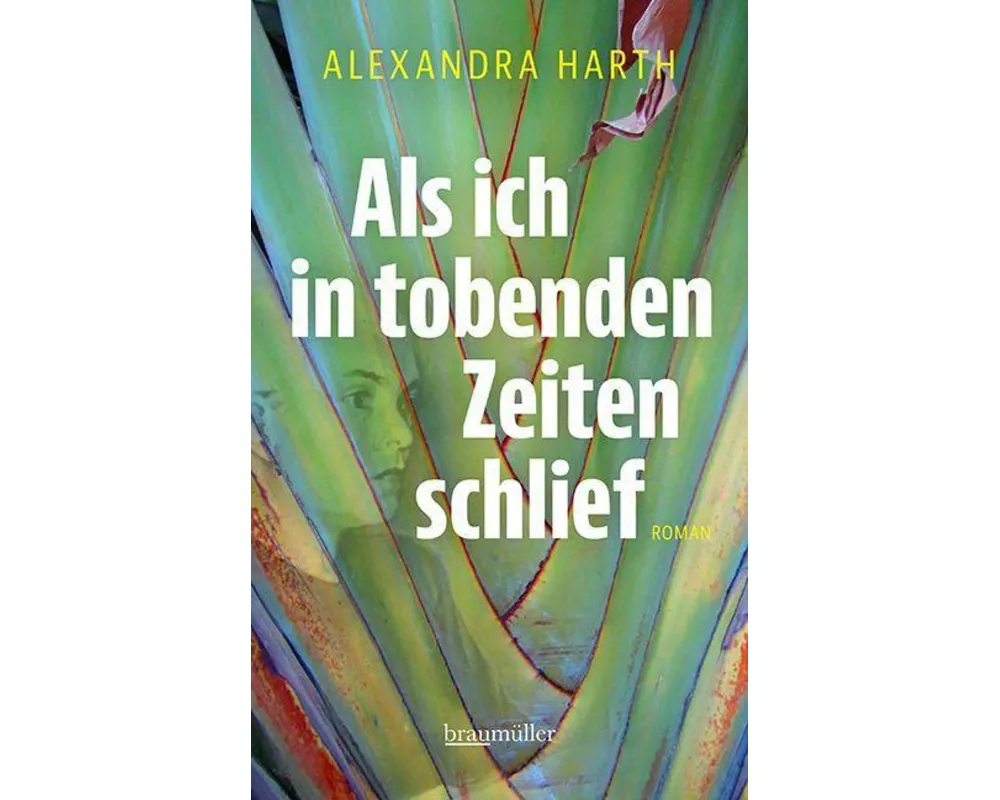 Als ich in tobenden Zeiten schlief