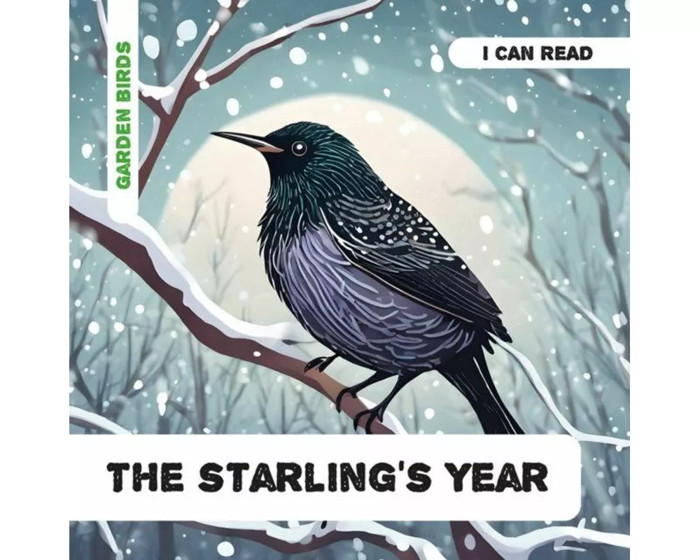 The Starling's Year