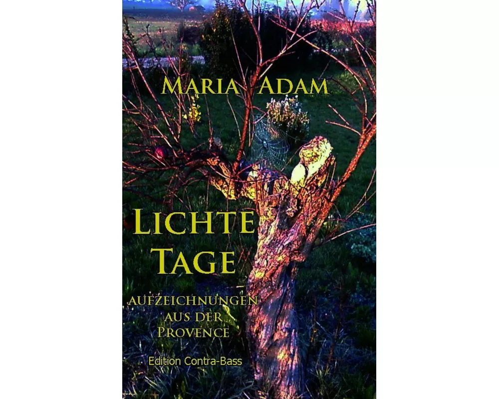 Lichte Tage