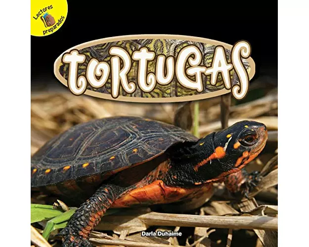 Tortugas