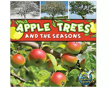 Apple Trees and the Seasons
