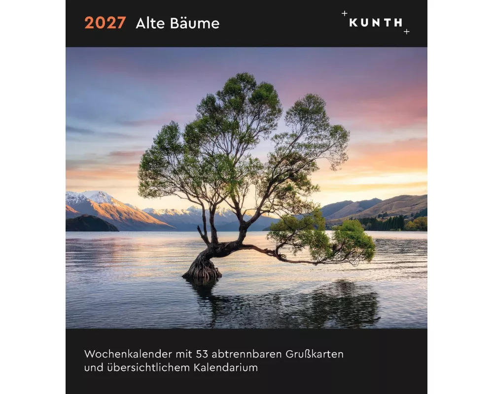 Alte Bäume - KUNTH Postkartenkalender 2027