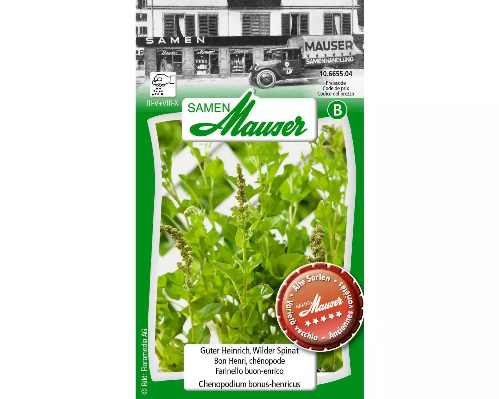 Samen Mauser Samen Guter Heinrich, Wilder Spinat