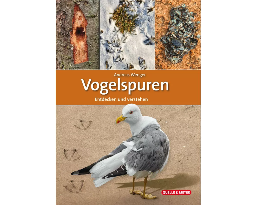 Vogelspuren