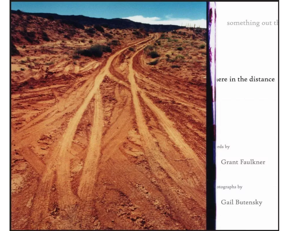 Something Out There in the Distance