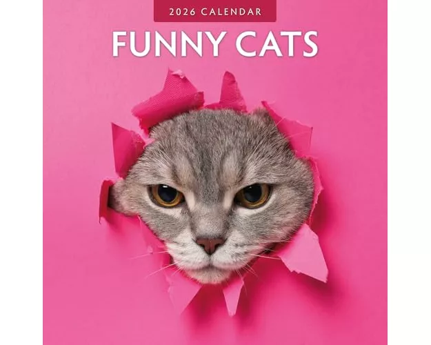 Funny Cats 2026 Square Wall Calendar