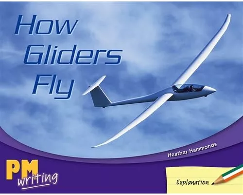 How Gliders Fly