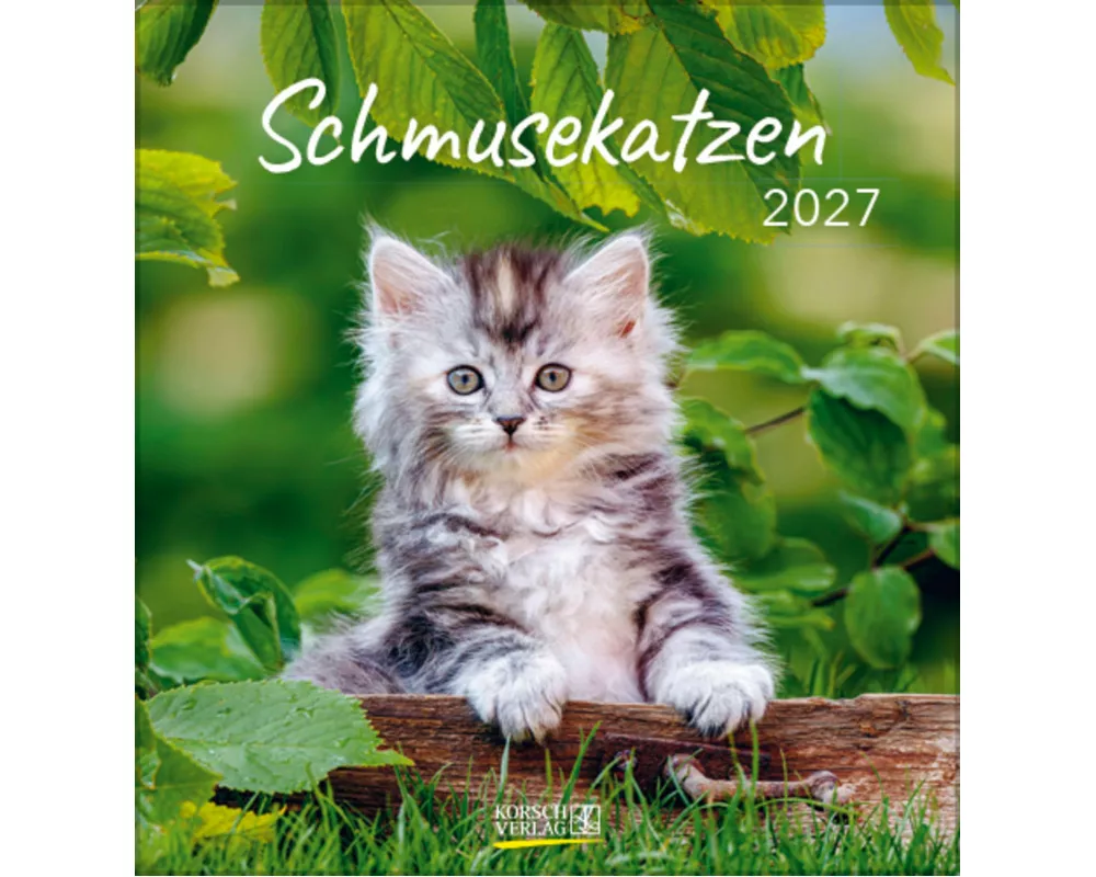 Schmusekatzen 2027