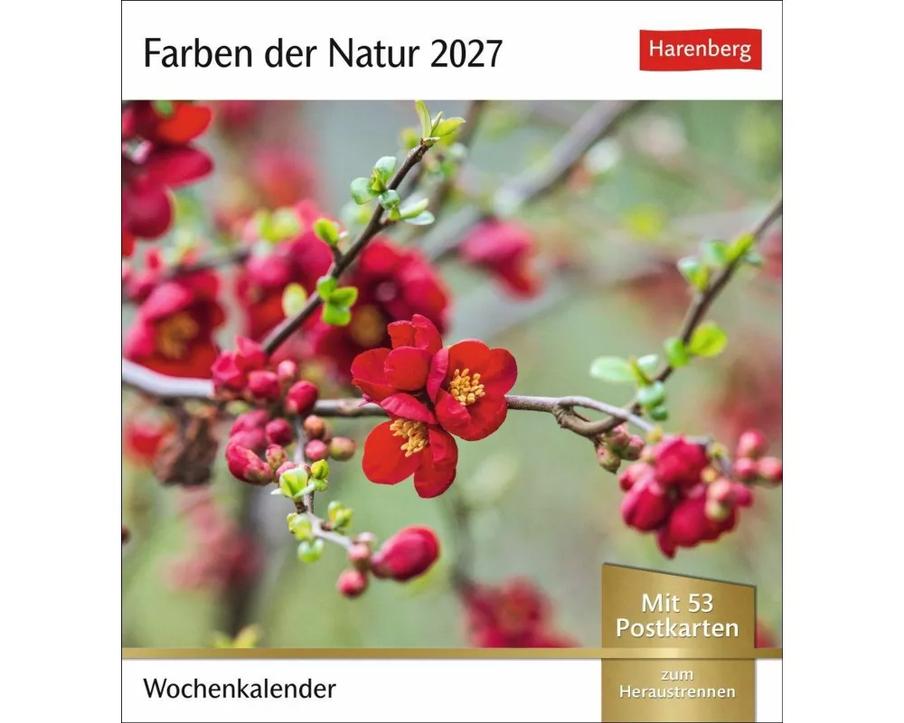 Farben der Natur Postkartenkalender 2027 - Wochenkalender mit 53 Postkarten
