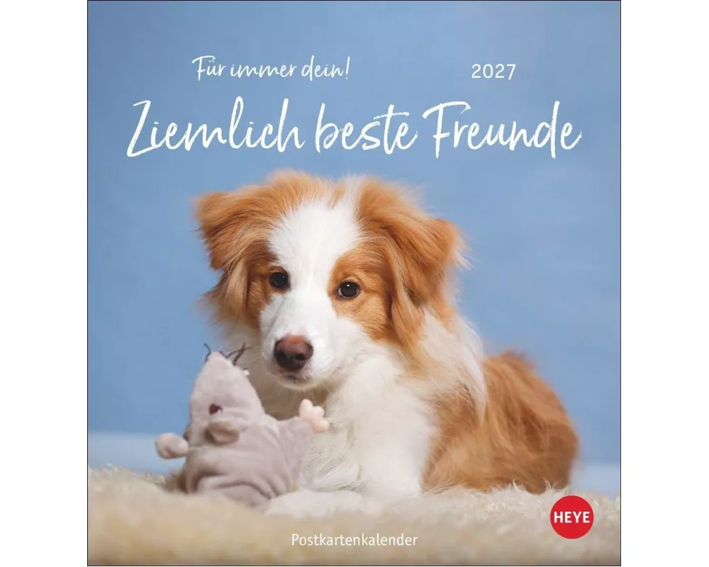 Ziemlich beste Freunde Postkartenkalender 2027 - Für immer dein