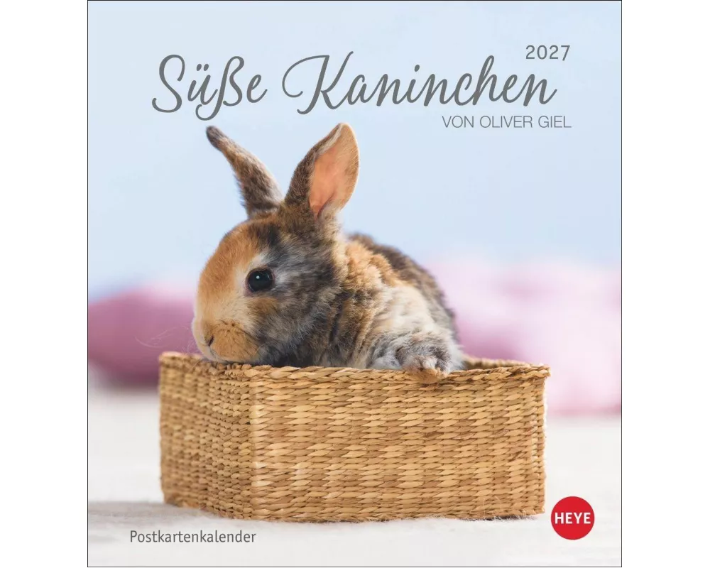 Süße Kaninchen Postkartenkalender 2027