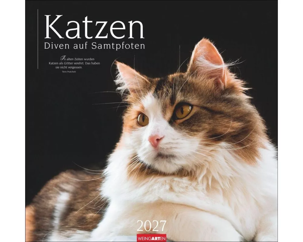 Katzen - Diven auf Samtpfoten Kalender 2027 - Diven auf Samtpfoten