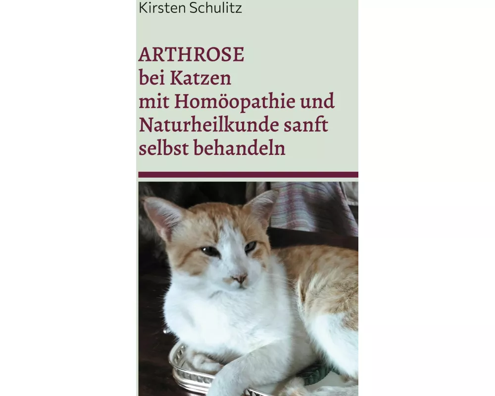 Arthrose bei Katzen mit Homöopathie und Naturheilkunde sanft selbst behandeln
