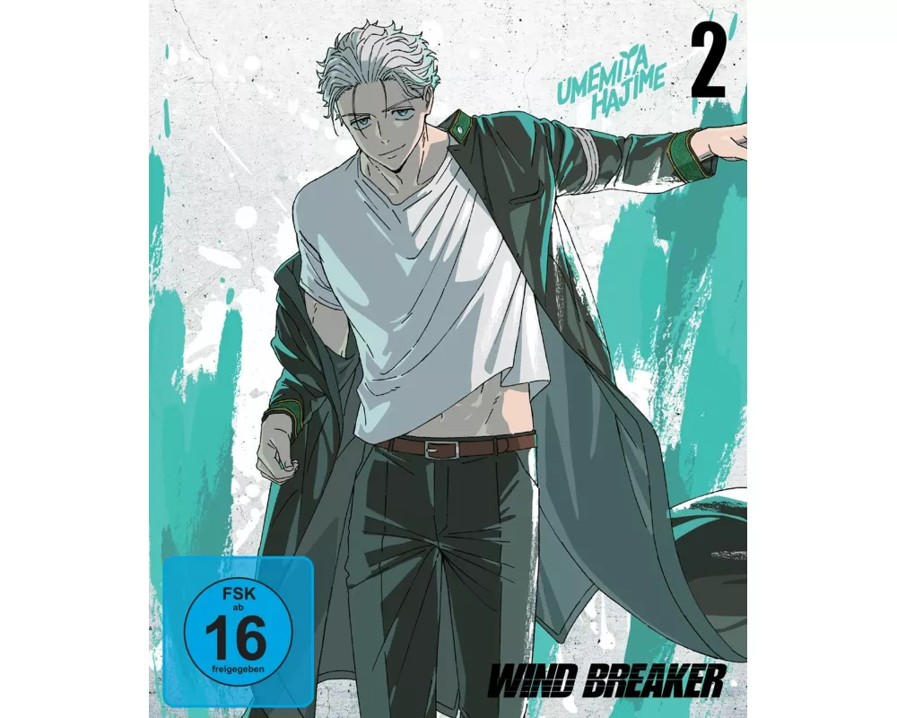 Wind Breaker - Staffel 1 - Vol.2 - [DVD]