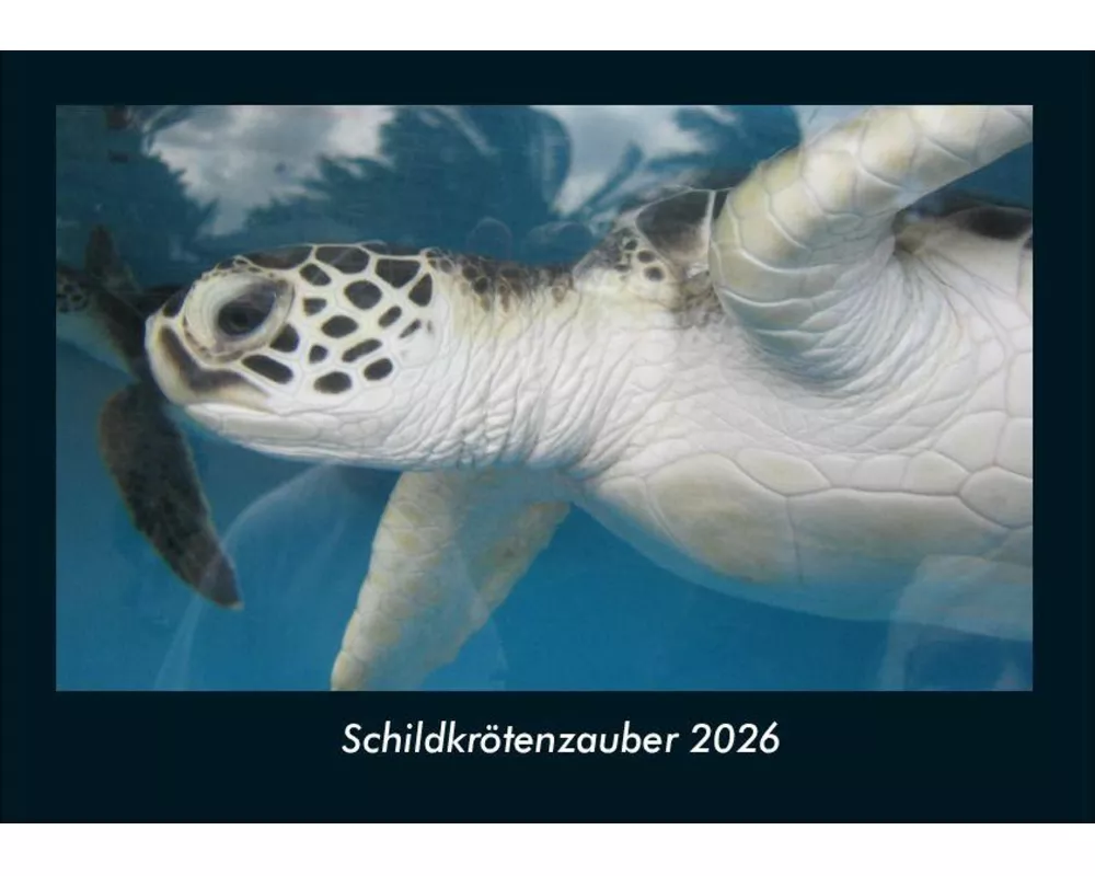 Schildkrötenzauber 2026 Fotokalender DIN A4
