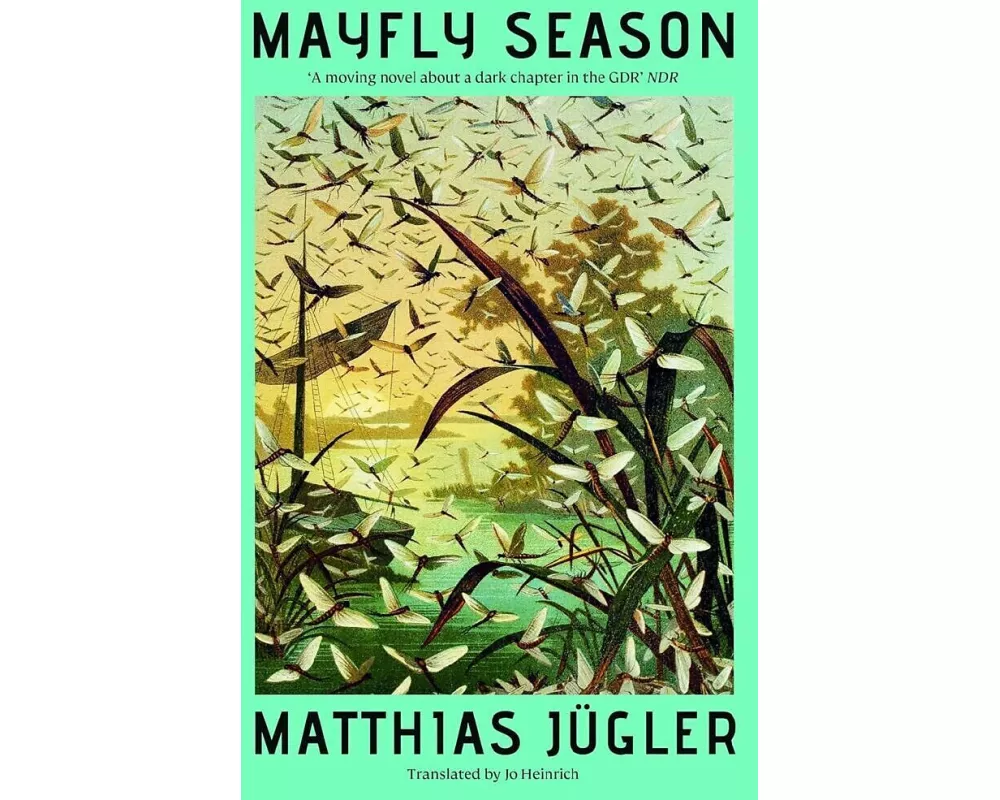 Mayfly Season