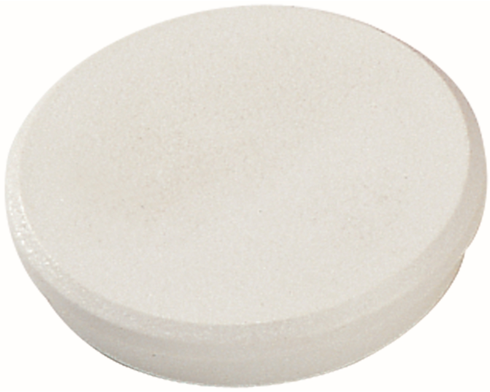 DAHLE Magnete 95532-21400 10 Stk. 32mm weiss