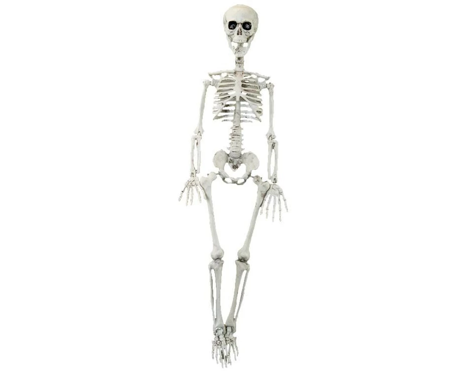 Dekomat AG Aufhänger Skelett 90 x 20 cm, 1 Stück, Weiss