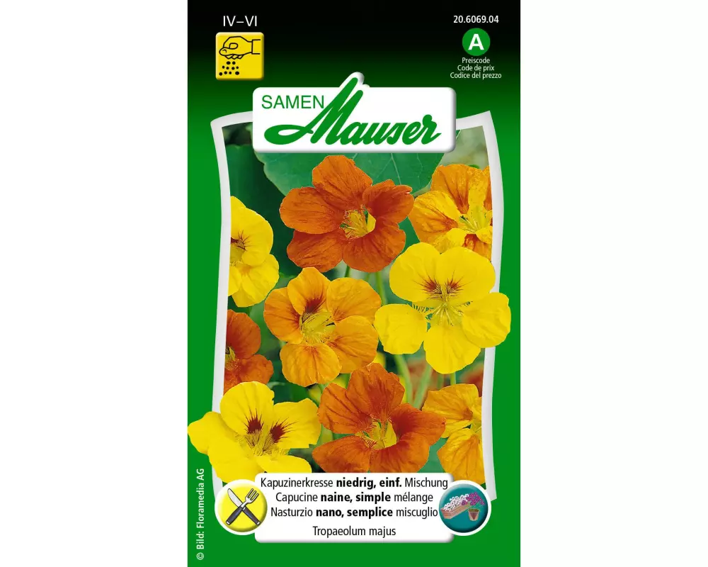 Samen Mauser Essbare Blüten Kapuzinerkresse, niedrig