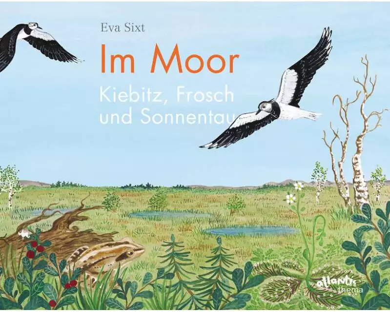 Im Moor – Kiebitz, Frosch und Sonnentau