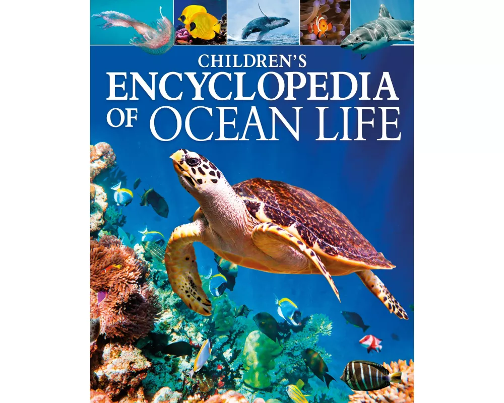 Children's Encyclopedia of Ocean Life
