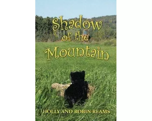 Shadow of the Mountain