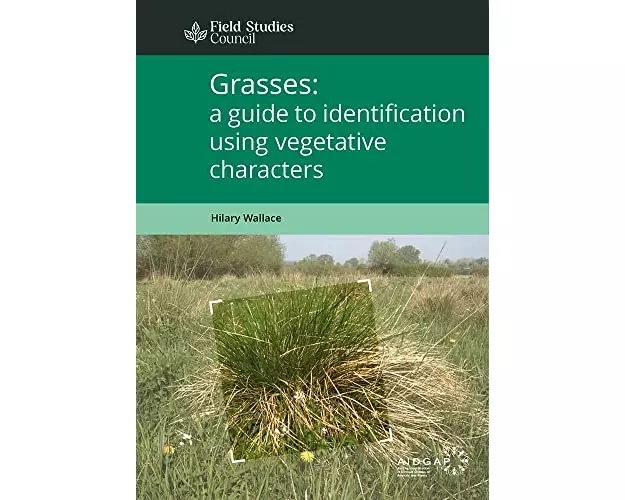 Grasses: a guide to identification using vegetative characters
