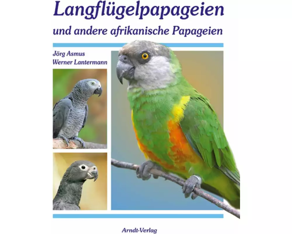 Langflügelpapageien und andere afrikanische Papageien