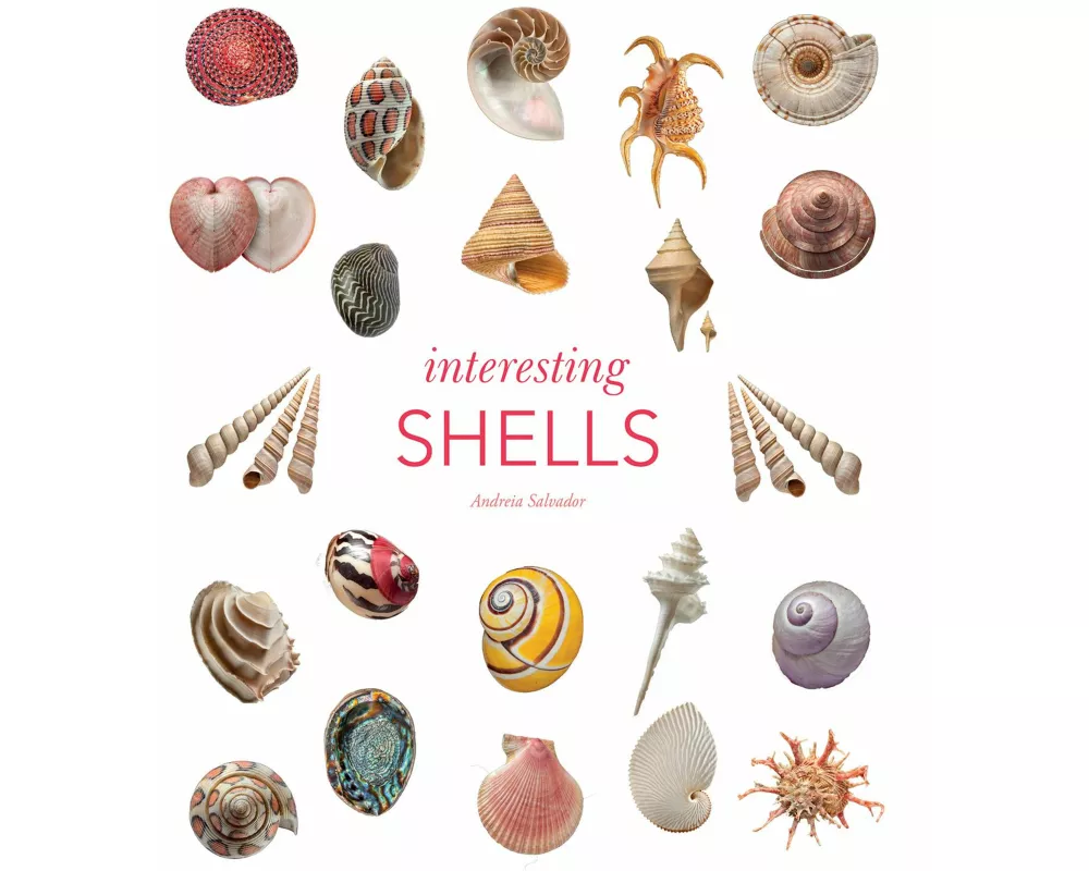 Interesting Shells