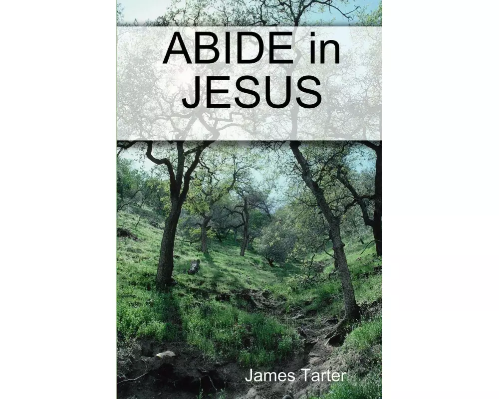 ABIDE in JESUS