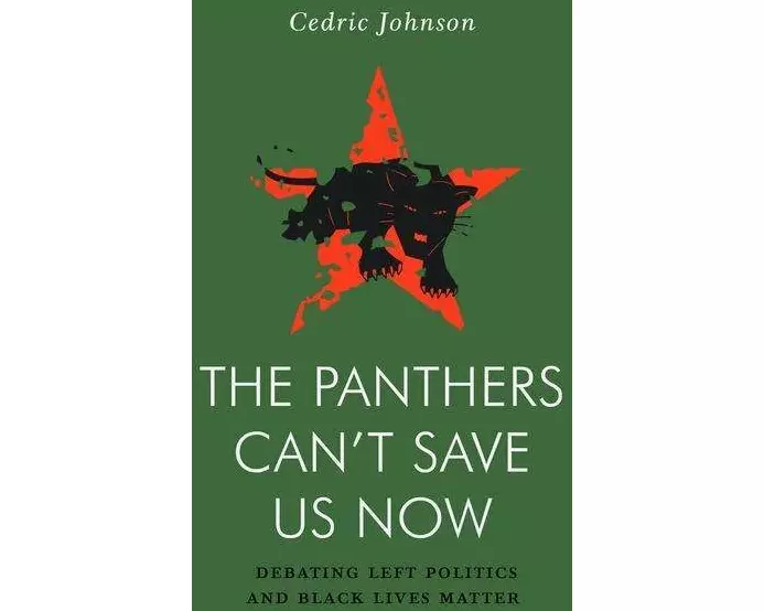 The Panthers Can't Save Us Now