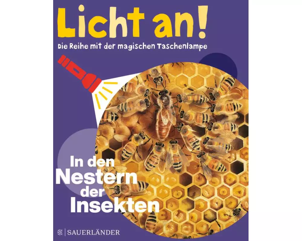 In den Nestern der Insekten