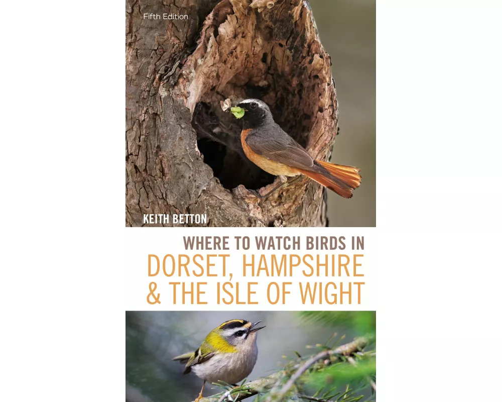 Where to Watch Birds in Dorset, Hampshire and the Isle of Wight